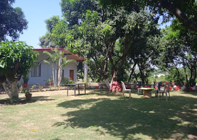 The Pie Tree Corbett ( Nainital ) 