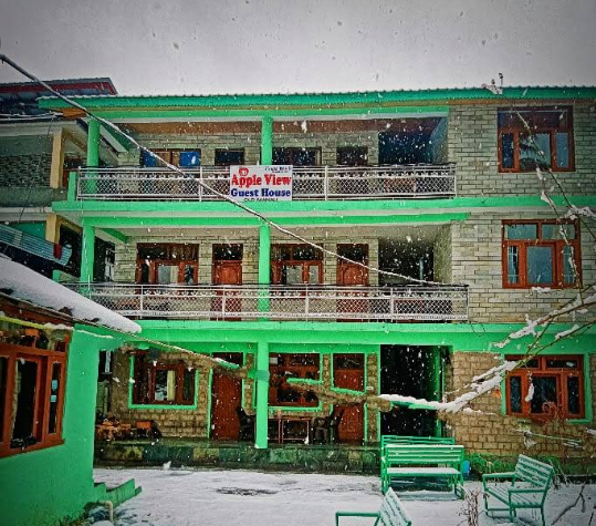 Apple View Guest House ( Manali ) 