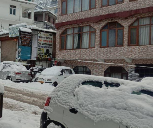 Hotel Ankit Palace ( Manali )  - Image 2