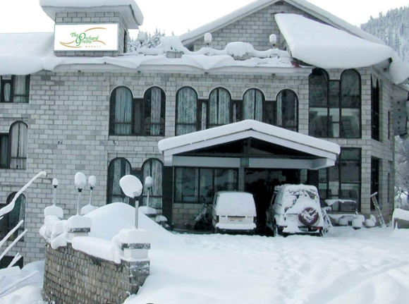 The Orchard Greens ( Manali  ) 