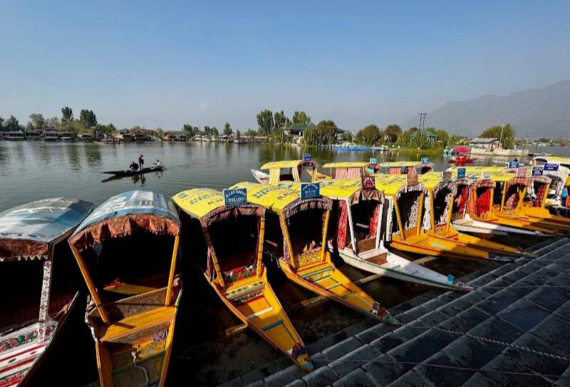 Houseboat wild Rose (srinagar) - Image 2