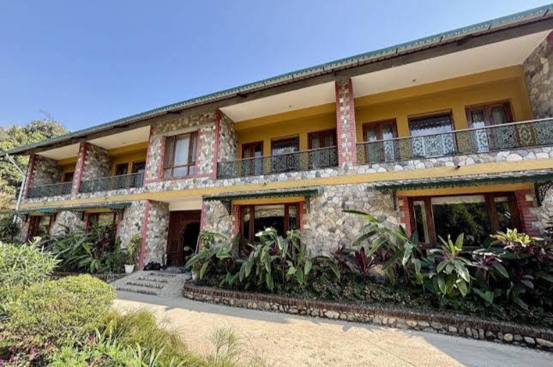 Tree of life (dharamshala) - Image 2