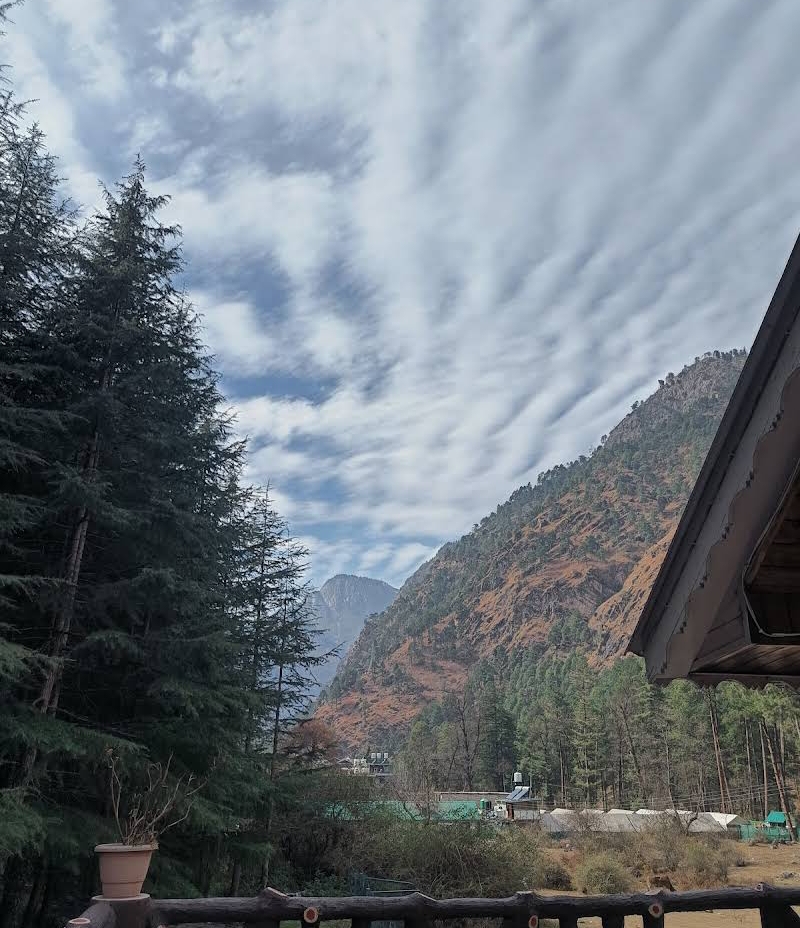 Parvati woods camp (Kasol) - Image 2