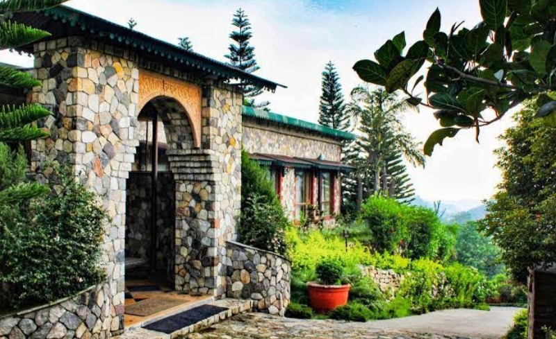 Tree of life (dharamshala)